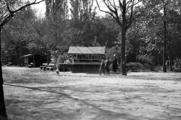 Egy '48-as katonatiszt üzleti próbálkozásai – Dunahídtól a bérelhető padokig 